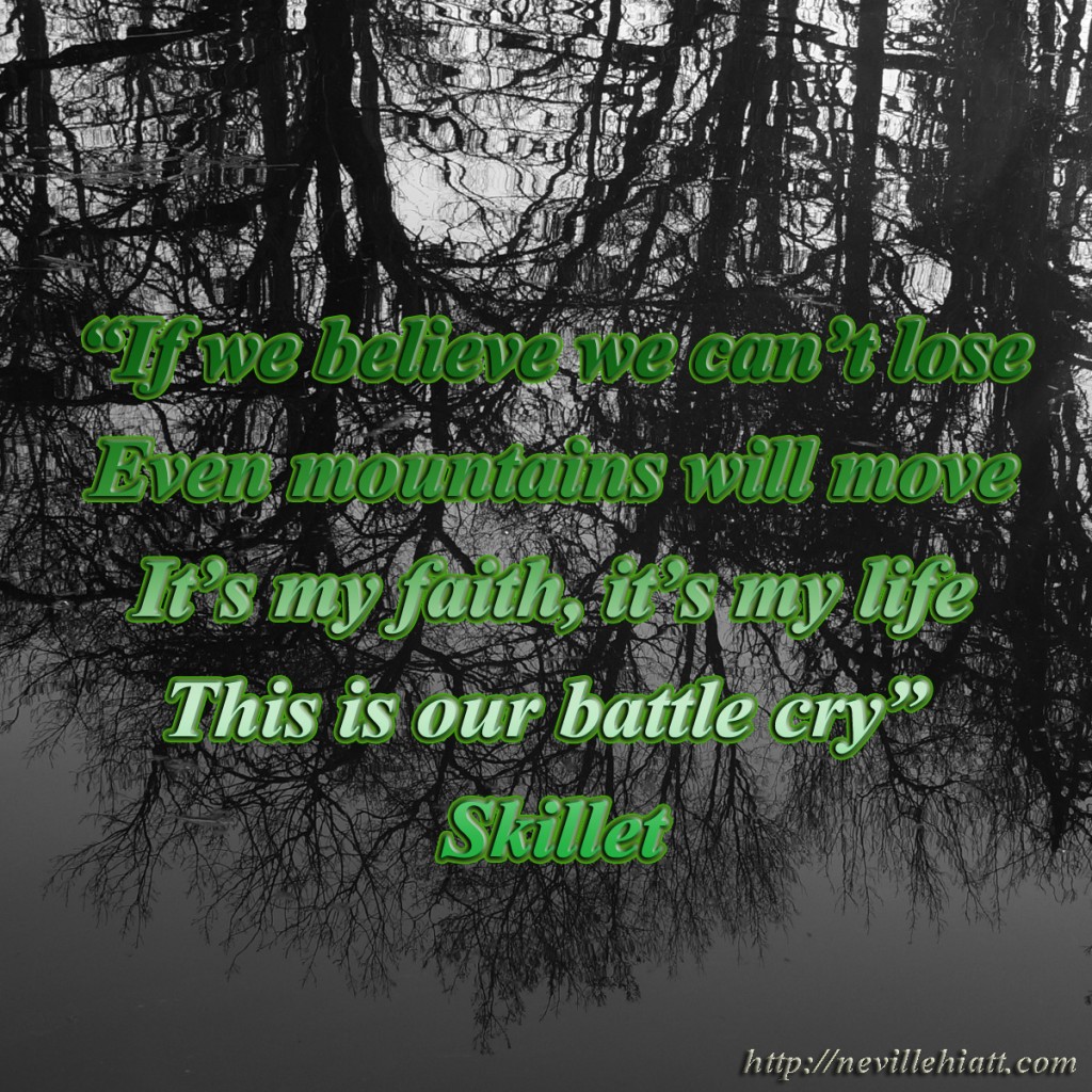 skillet_quote